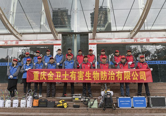 挑選專業殺蟲公司要看重哪些方面