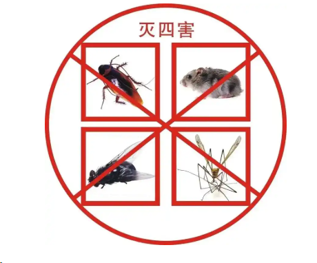 重慶白蟻防治中心機構