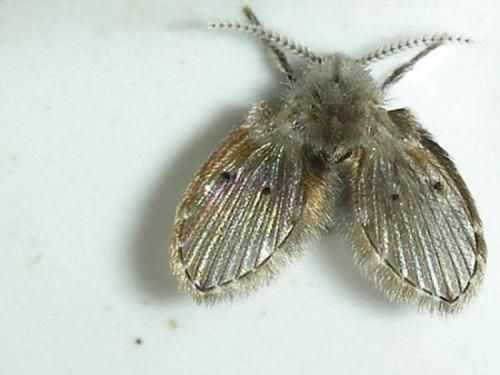 1609920191805124.jpg 5c71494f1e061.jpg