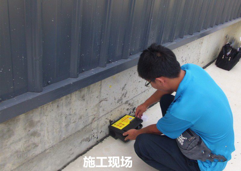 1609920534106796.jpg 5c714eddcfd1c.jpg