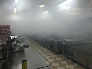 1609922732101679.jpg 5c714c183a8fa.jpg